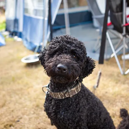 Ξενοδοχείο Oostappen Prinsenmeer Bv 3*