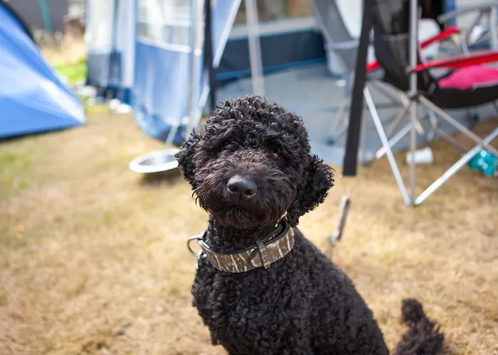 Hotel Oostappen Prinsenmeer Bv 3*